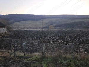 Teren intravilan în Viile Tecii 