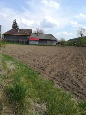 Teren intravilan în Viile Tecii  - imagine 2