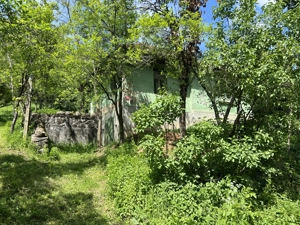 Vând casă cu teren și livadă în Seini, cu priveliște de poveste