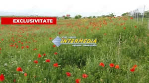 Teren intravilan 976mp in zona Oarda, Alba iulia
