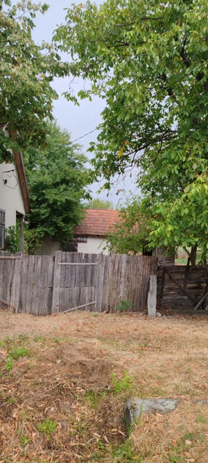 Casa la pret de teren 3950 m2 intravilan 100% - imagine 2