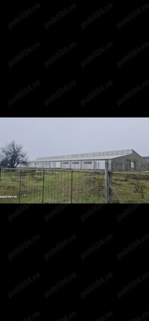 Teren intravilan 32.277 mp, în com. Ulmu, jud.Călărași - imagine 5