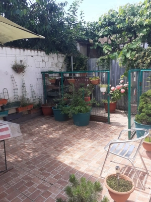 Vand central casa cu 4 camere, 270 mp teren - imagine 9