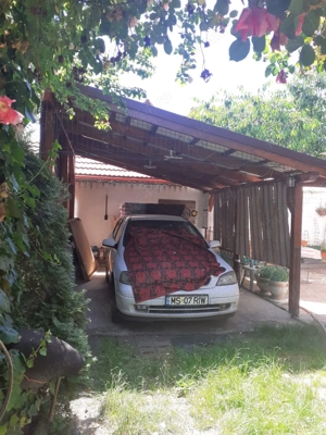 Vand central casa cu 4 camere, 270 mp teren - imagine 8