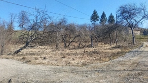 Teren de vanzare - 16 ari - imagine 4