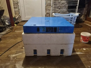 incubator automat  - imagine 2