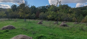 Teren cu constructii renovabile