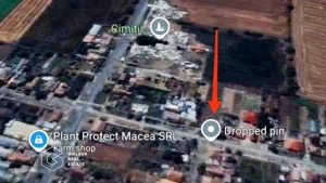 Teren pentru constructie casa, strada asfaltată, Macea - imagine 2