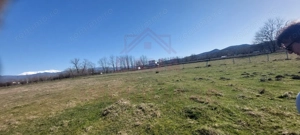 TEREN CU PLANTAȚIE DE TRANDAFIRI ,,ROSA DAMASCENA,\ \CARANSEBEȘ\JUD.CS - imagine 4