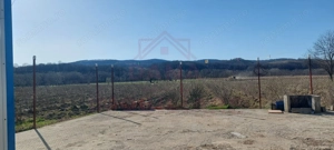 TEREN CU PLANTAȚIE DE TRANDAFIRI ,,ROSA DAMASCENA,\ \CARANSEBEȘ\JUD.CS - imagine 5
