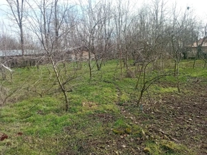 casa la tara  - imagine 2