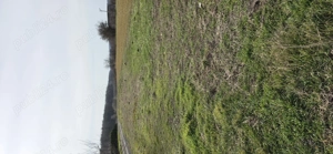 Teren Calugareni, jud. Giurgiu, intravilan arabil, 1235 mp