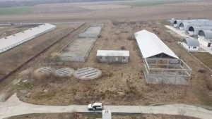 Fermă creștere porcine - imagine 3