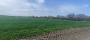 Teren intravilan industrial Aradului de vânzare  - imagine 6