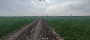 Teren intravilan industrial Aradului de vânzare  - imagine 2