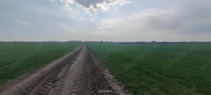 Teren intravilan industrial Aradului de vânzare  - imagine 4