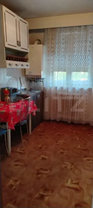 APARTAMENT GENEROS CU 2 CAMERE DECOMANDAT  - imagine 7