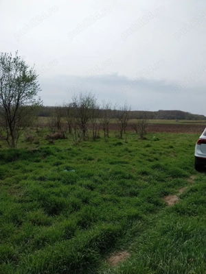 Vând teren în Dichiseni - imagine 2