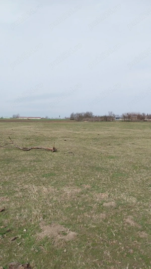 Vând teren în Dichiseni - imagine 5