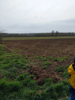 Vând teren în Dichiseni - imagine 3