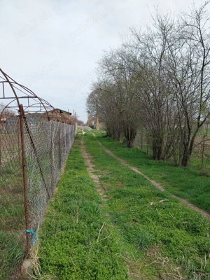 Vând teren în Dichiseni - imagine 6