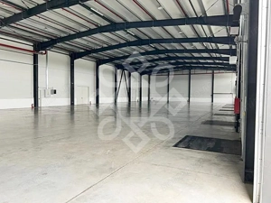 Hala noua de vanzare in Parcul Industrial I, zona Borsului - imagine 5