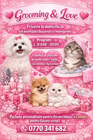 Tuns caini si pisici la domiciliu 