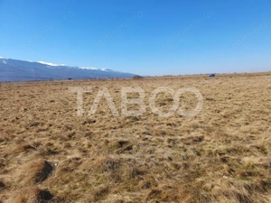 Teren de vanzare 600 mp extravilan la 10 km de autostrada