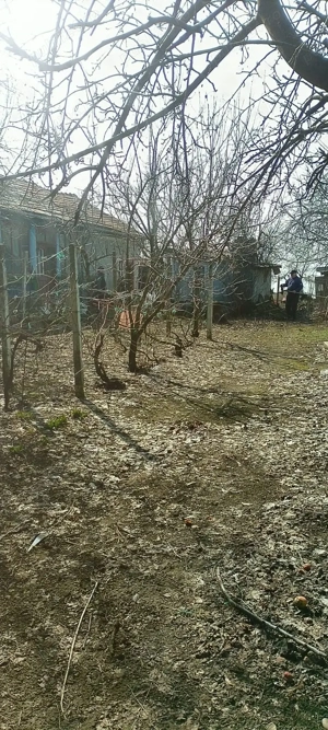 Vând casă la țară  - imagine 4