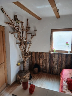 vand casa Slobozia Ciorasti Vrancea - imagine 3