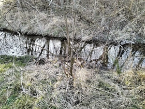 vand teren agricol satul Crocna judetul Arad  - imagine 5