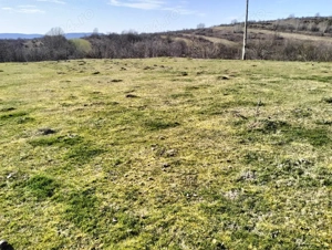 vand teren agricol satul Crocna judetul Arad  - imagine 3