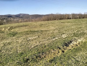 vand teren agricol satul Crocna judetul Arad  - imagine 4