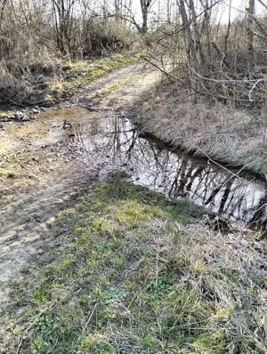 vand teren agricol satul Crocna judetul Arad  - imagine 7