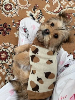 Donez catelusa  - imagine 2