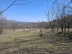 Vând teren livadă și fâneață 