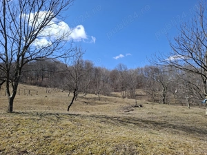 Vând teren livadă și fâneață  - imagine 3