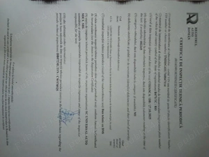 skoda octavia 19 alh Tel   - imagine 5