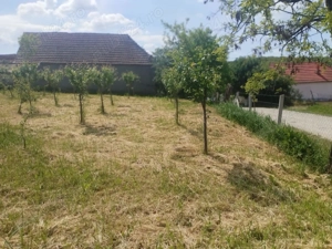 vand teren intravilan Felcheriu Oradea Bihor