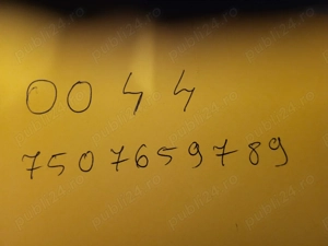 Casa de vanzare in bujac arad - imagine 10