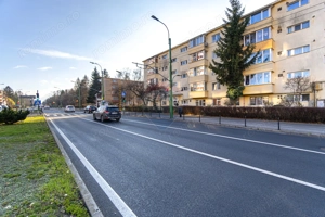 2 camere | Gemenii | Randament bun, cerere mare - imagine 16