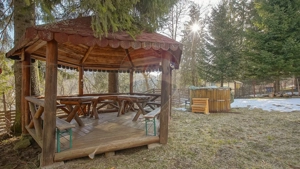 Vilă istorică, proiectată de arhitectul Emil Nădejde în Timișu de Sus - imagine 12