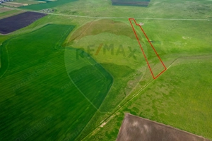 5 hectare teren agricol- pășune, cu front la șosea, zona Sântana - imagine 4