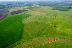 5 hectare teren agricol- pășune, cu front la șosea, zona Sântana - imagine 7