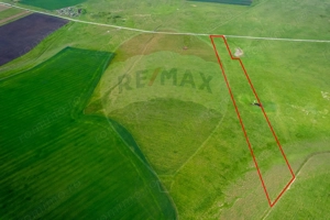 5 hectare teren agricol- pășune, cu front la șosea, zona Sântana - imagine 5