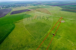 5 hectare teren agricol- pășune, cu front la șosea, zona Sântana - imagine 10