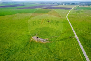 5 hectare teren agricol- pășune, cu front la șosea, zona Sântana - imagine 11
