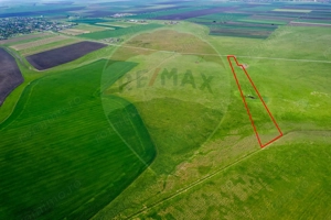 5 hectare teren agricol- pășune, cu front la șosea, zona Sântana - imagine 8
