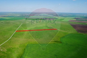 5 hectare teren agricol- pășune, cu front la șosea, zona Sântana - imagine 3