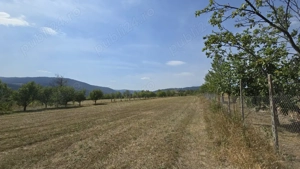 Teren Agapia 4270mp - platou - imagine 2